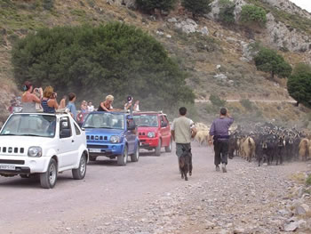 JEEP - & QUAD SAFARI